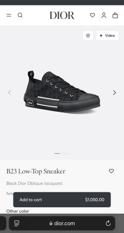 Dior B23 Low Top