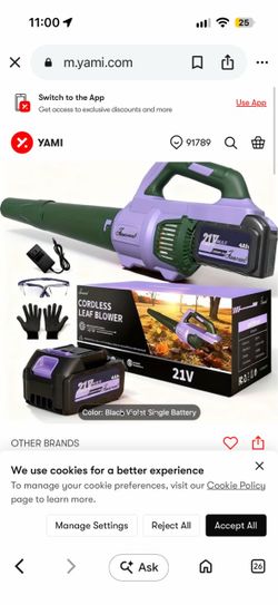 Cordless Leaf Blower 21V 4Ah 2 Batteries 2-Speed Powerful Lightweight Electric Handheld Blower for Lawn Yard Patio Garage Cleaning Kit