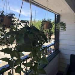 Faux Potted Plants 5 Pieces W/Windchimes 