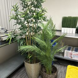 Faux Office Plants 