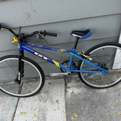 Gt bmx jr 20