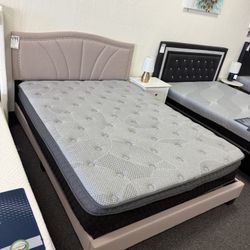 Queen Bed And Mattress