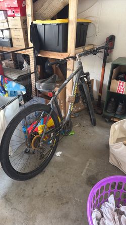 29” Schwann santis