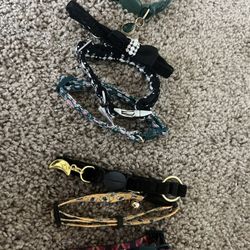 pet clothes