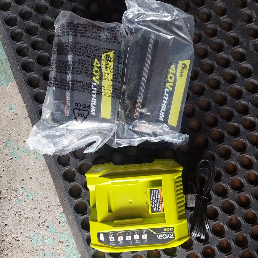 Two New Batterys And Charger 