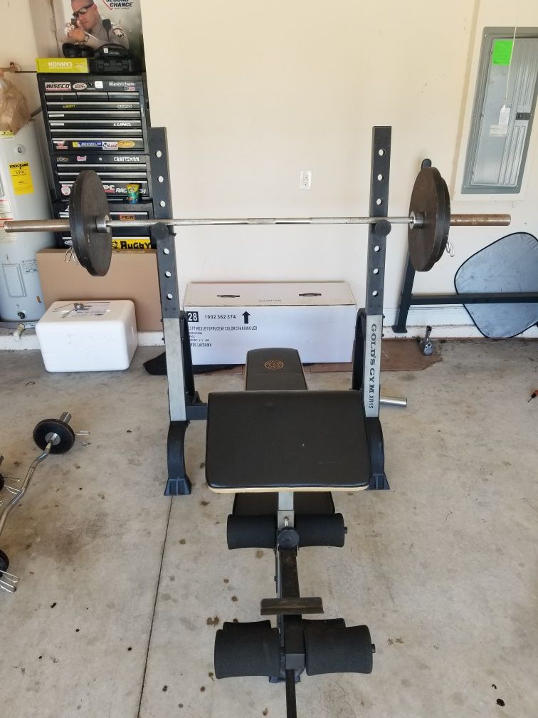 Golds gym xr15 sale