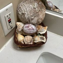 Seashells Decor 