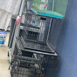 Pet Cages 
