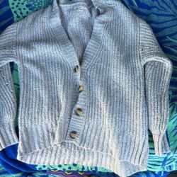 American Eagle Cardigan 