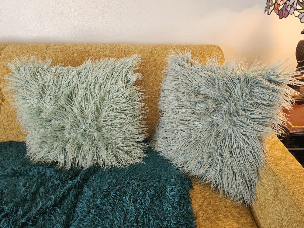 Teal Fluffy Pillows