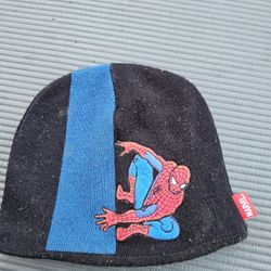 Spider man beanie