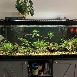 75 Gallon Aquarium/ Fish tank