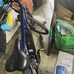 E Bike 
