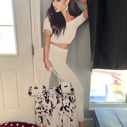Ariana Grande Poster board 