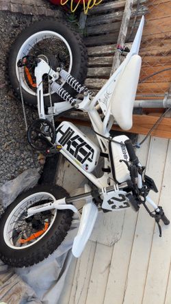 E bike