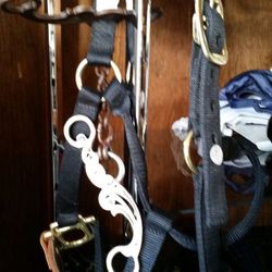 Horse Tack, Leather Halter And Decorative Mouth Bit