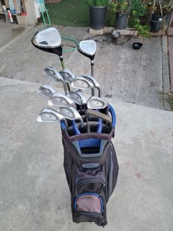 Ping & King Cobra Golf Club Set Stiff Flex Right Handed W/Datrek Cart Bag
