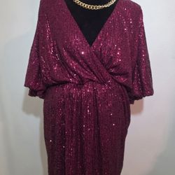 Burgundy Sparkle Dress 1x