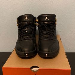 Air Jordan 12 size 8