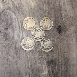 5 Buffalo Nickels 
