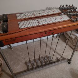 Steel Guitar