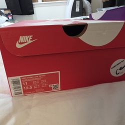 NIKE DUNKS year Of The Snake