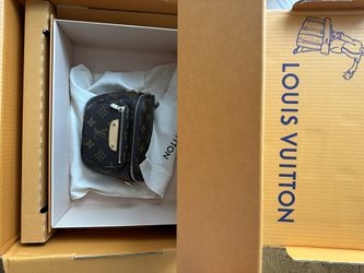 Louis Vuitton Mini Bumbag 