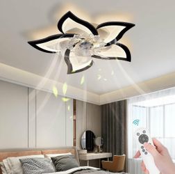 Low Profile Ceiling Fans with Lights