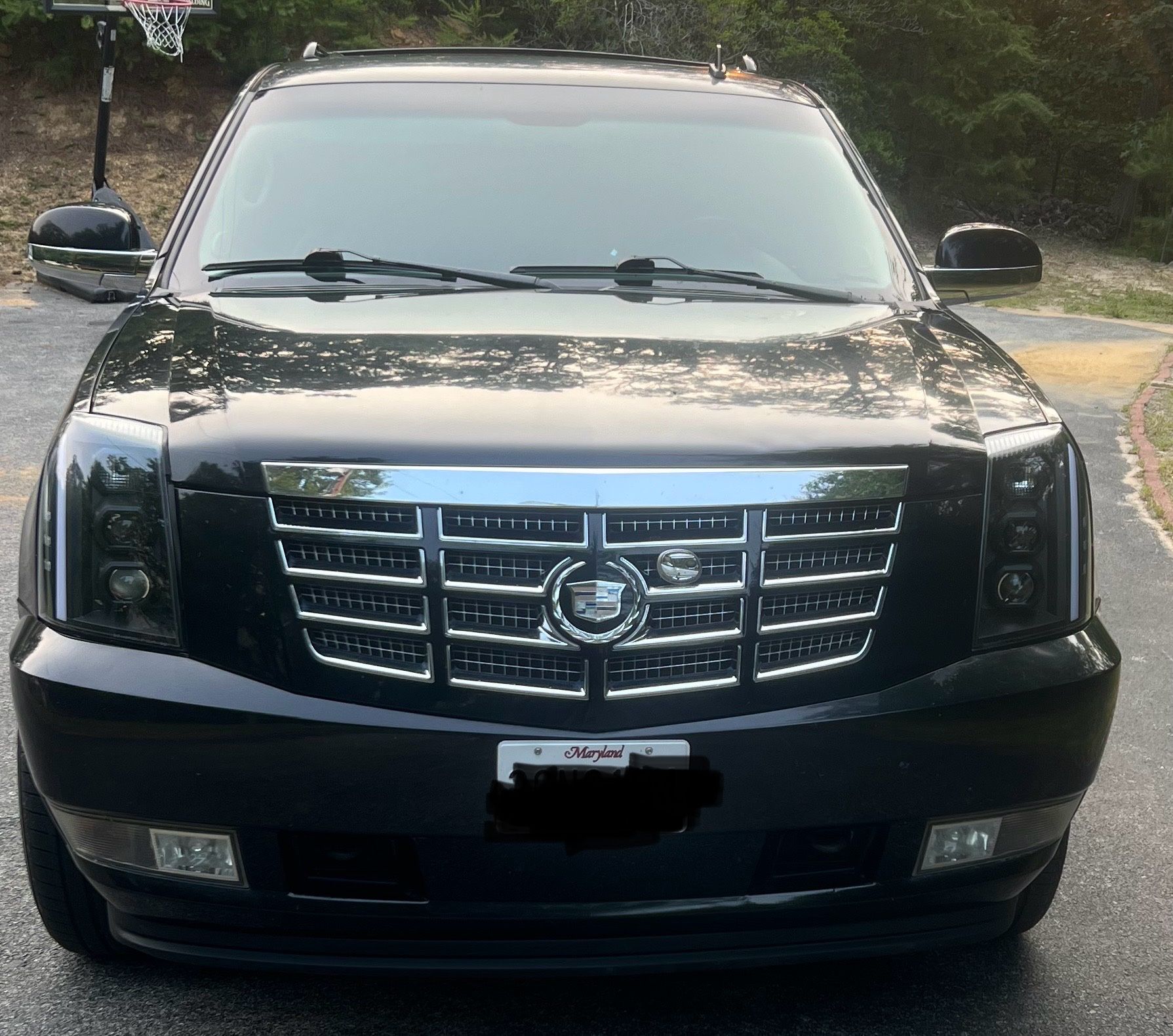 Denali/Escalade