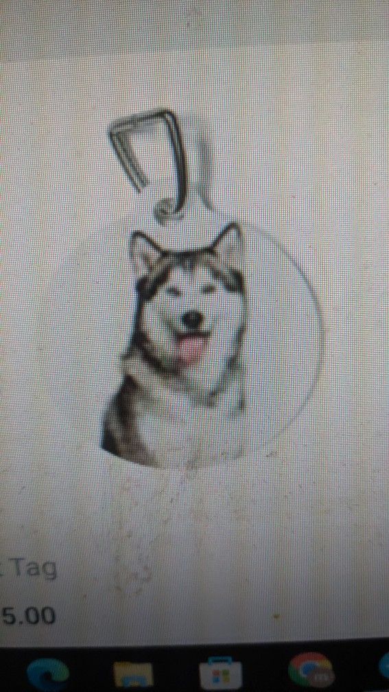 Pet ID Tag