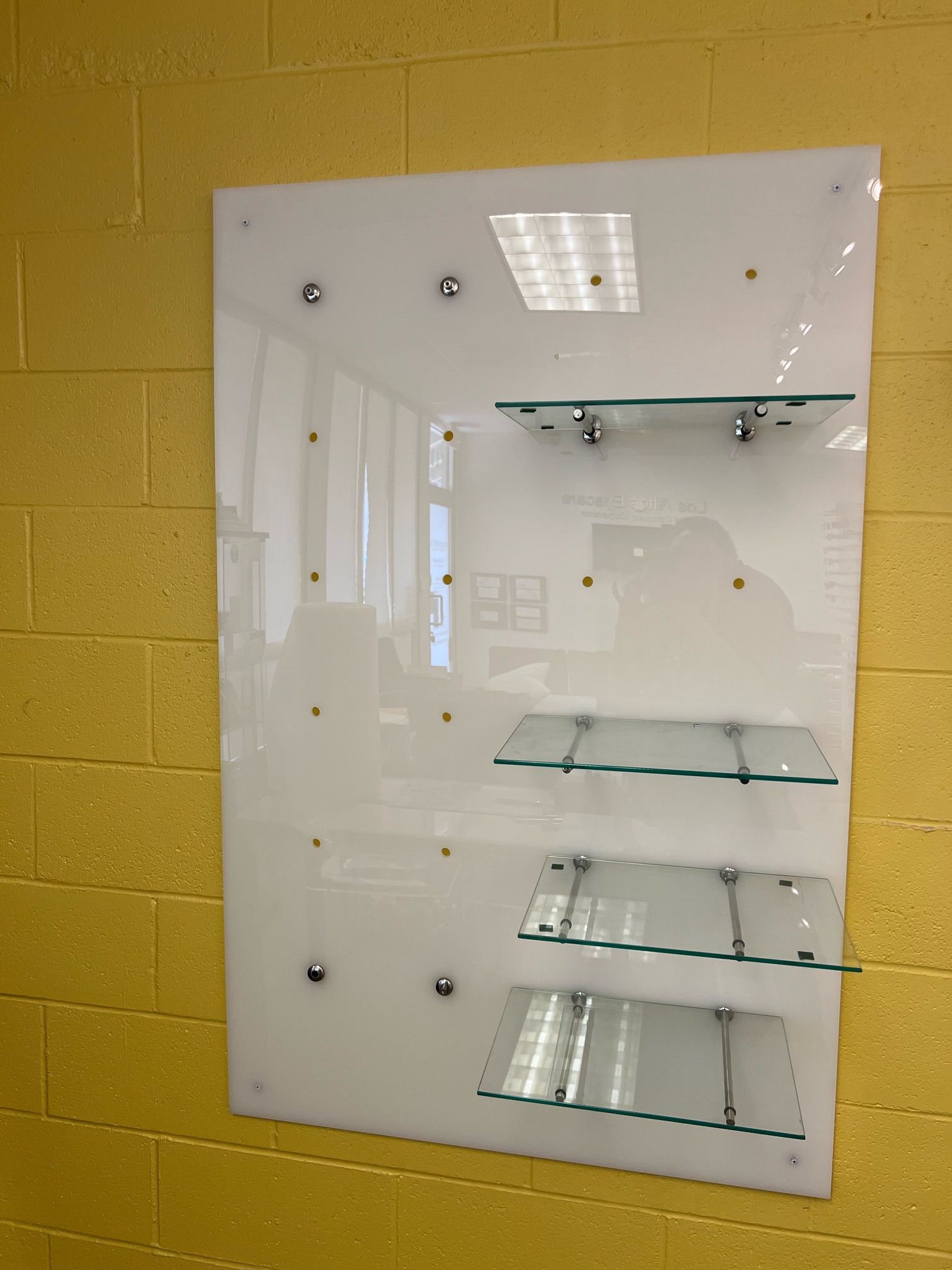Mounted Acrylic Wall Display