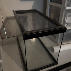 2 Vivarium Tanks + Light & Supplies