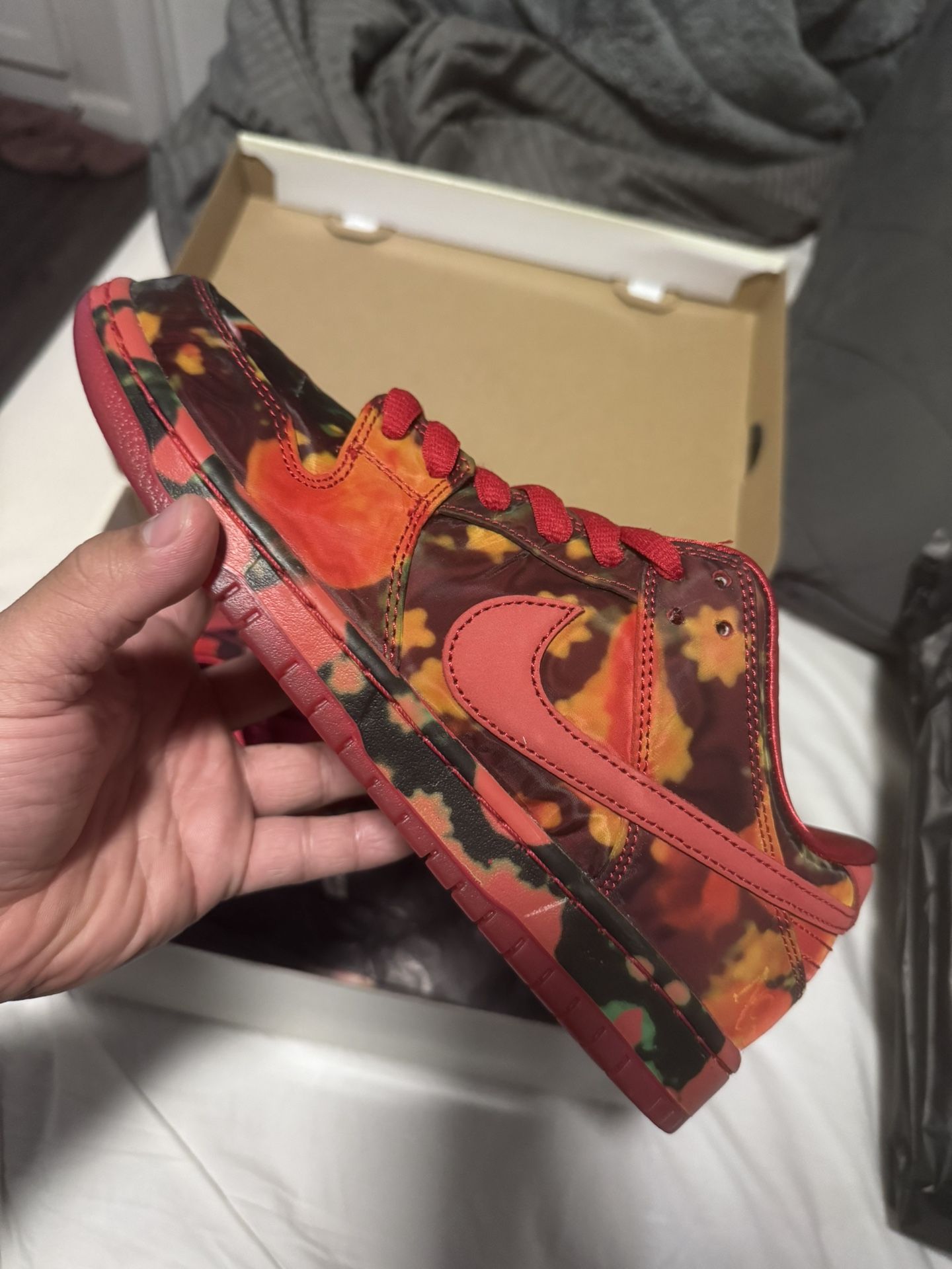 Nike Sb Wizard Of Oz