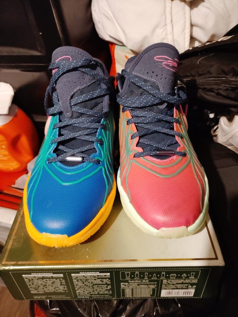 Nike LeBron 21 XXl Multi Color