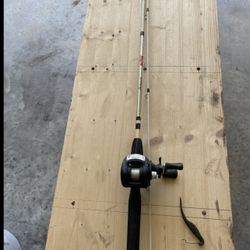 Shakespeare Rod and Real