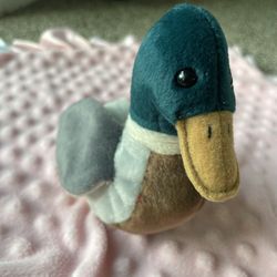 RARE Jake Beanie Baby with Tag ERROR