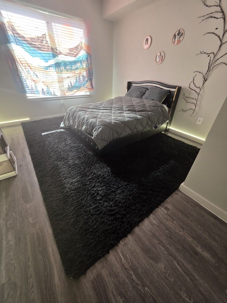 Final Sale: Deadline December 15 - Black Carpet