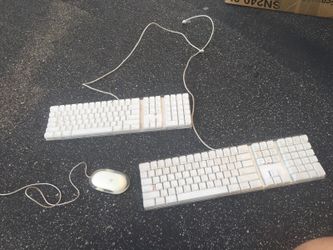 Apple computer keyboards and mouse