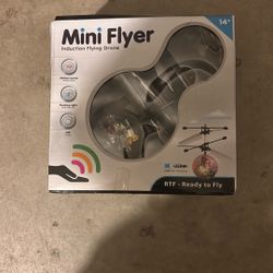 Mini Flying Drone