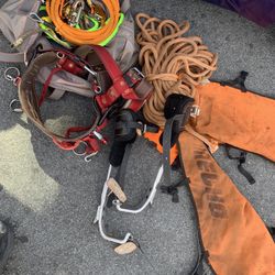 Tree Trimming Equipment 