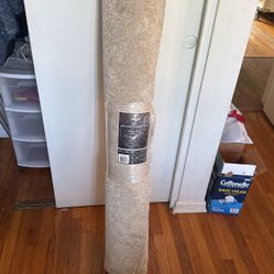 Area Rug
