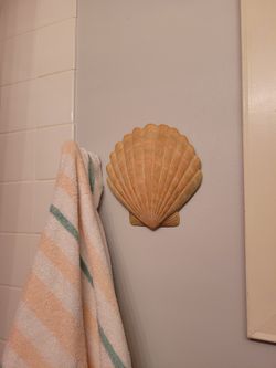 Seashell Wall Decor Ready To Hang 