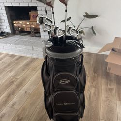 TaylorMade & Cobra Golf Set