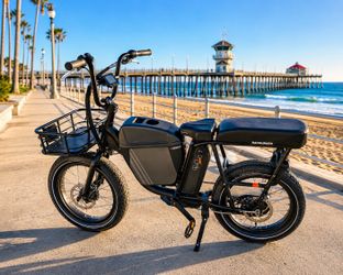 RadRunner 2 E-Bike – Only 336 Miles – Nearly $700 in Rad Accessories