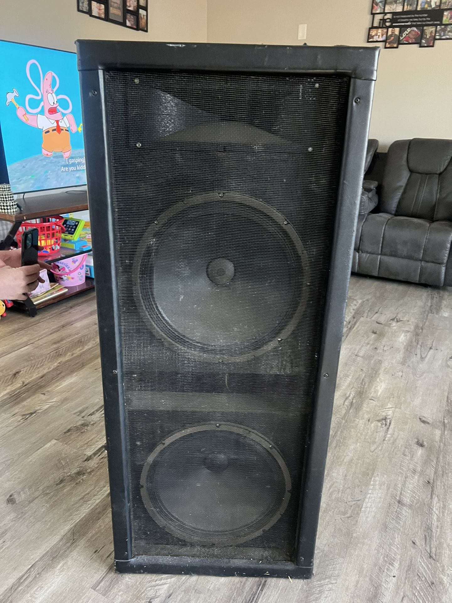 Peavey SP1 Speaker