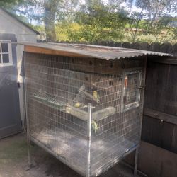 Bird Cage 