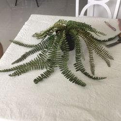 Ashland Green Faux Fern Plant 