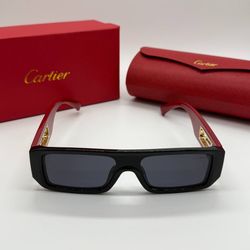 Cartier Cheetah Design Sunglasses