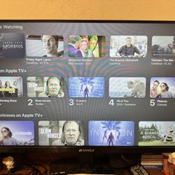 Sansui 27” Computer Monitor 165Hz