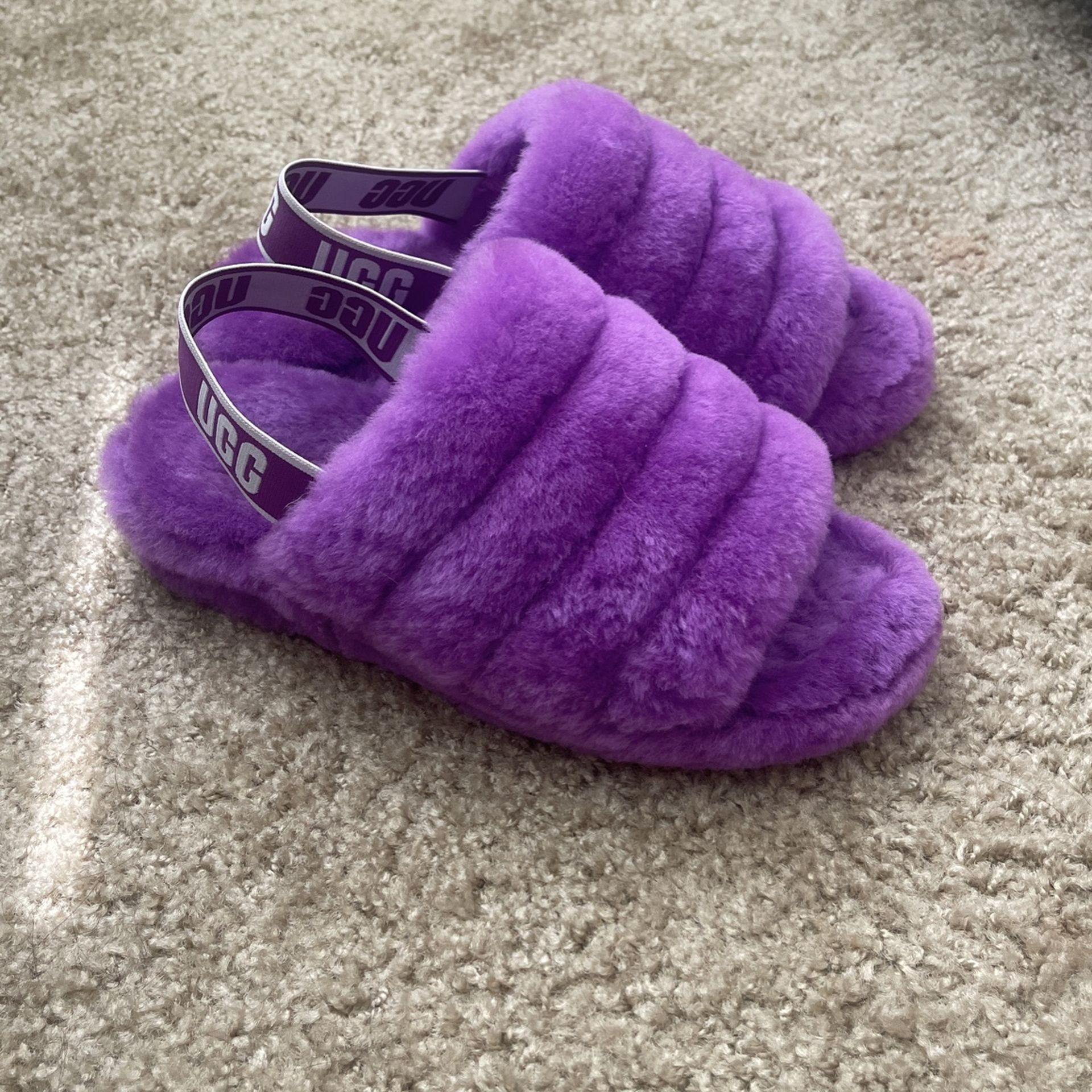 Ugg slippers Purple